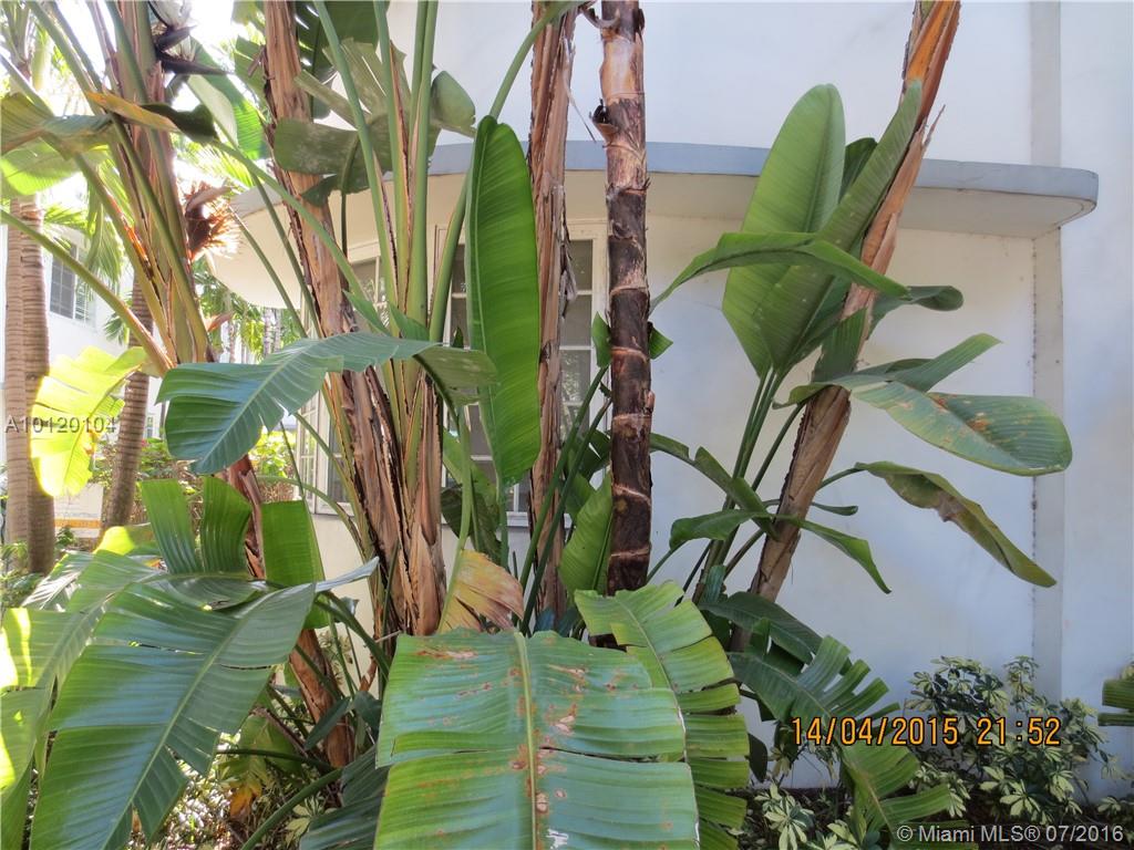 The Ambassador Condo - Residential Lease