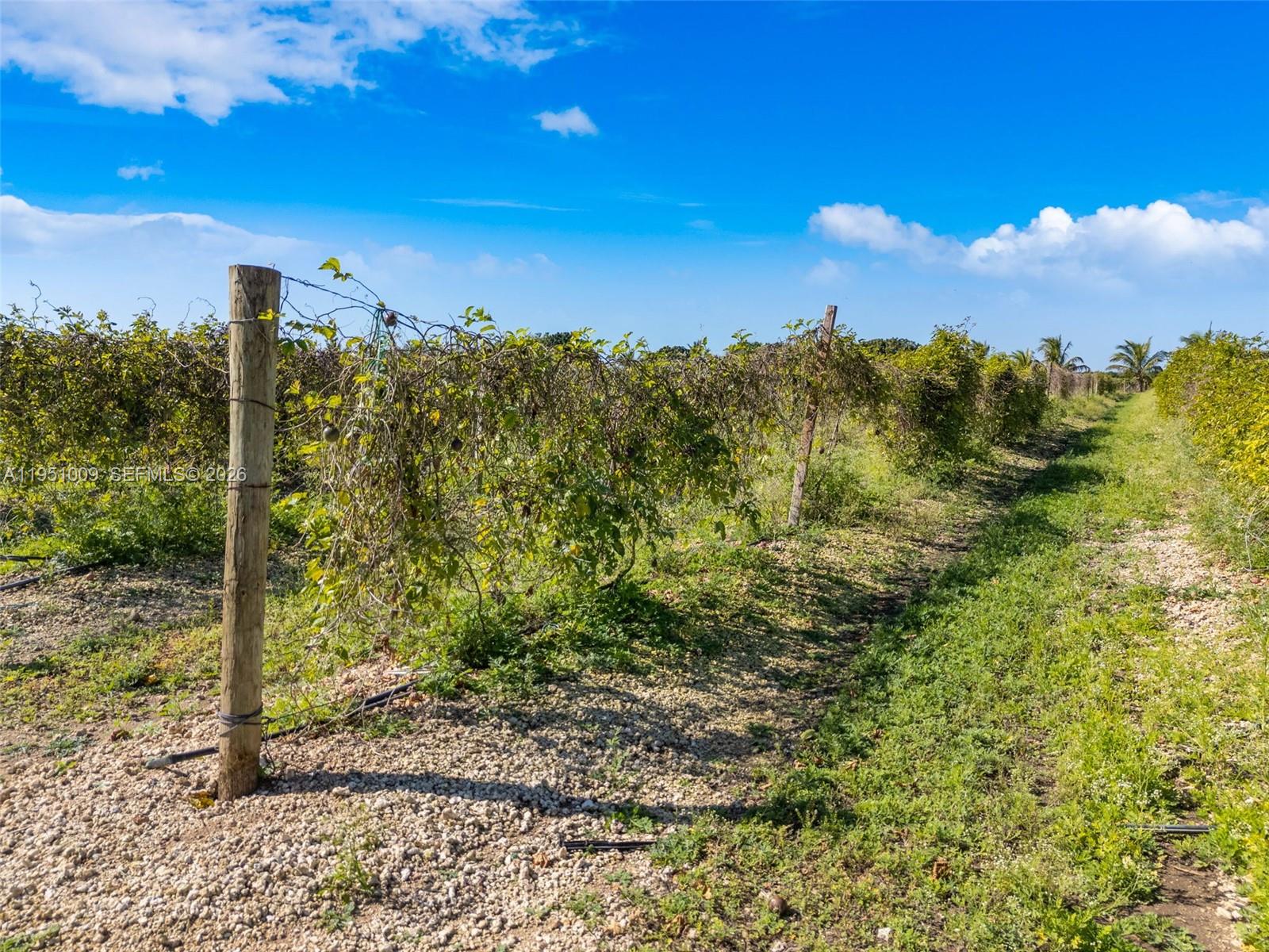 SOUTH REDLAND - Land