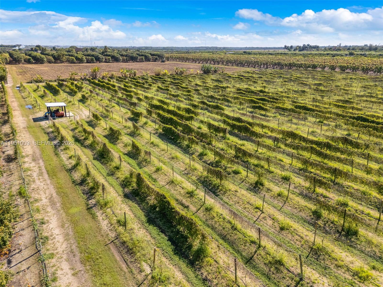 SOUTH REDLAND - Land