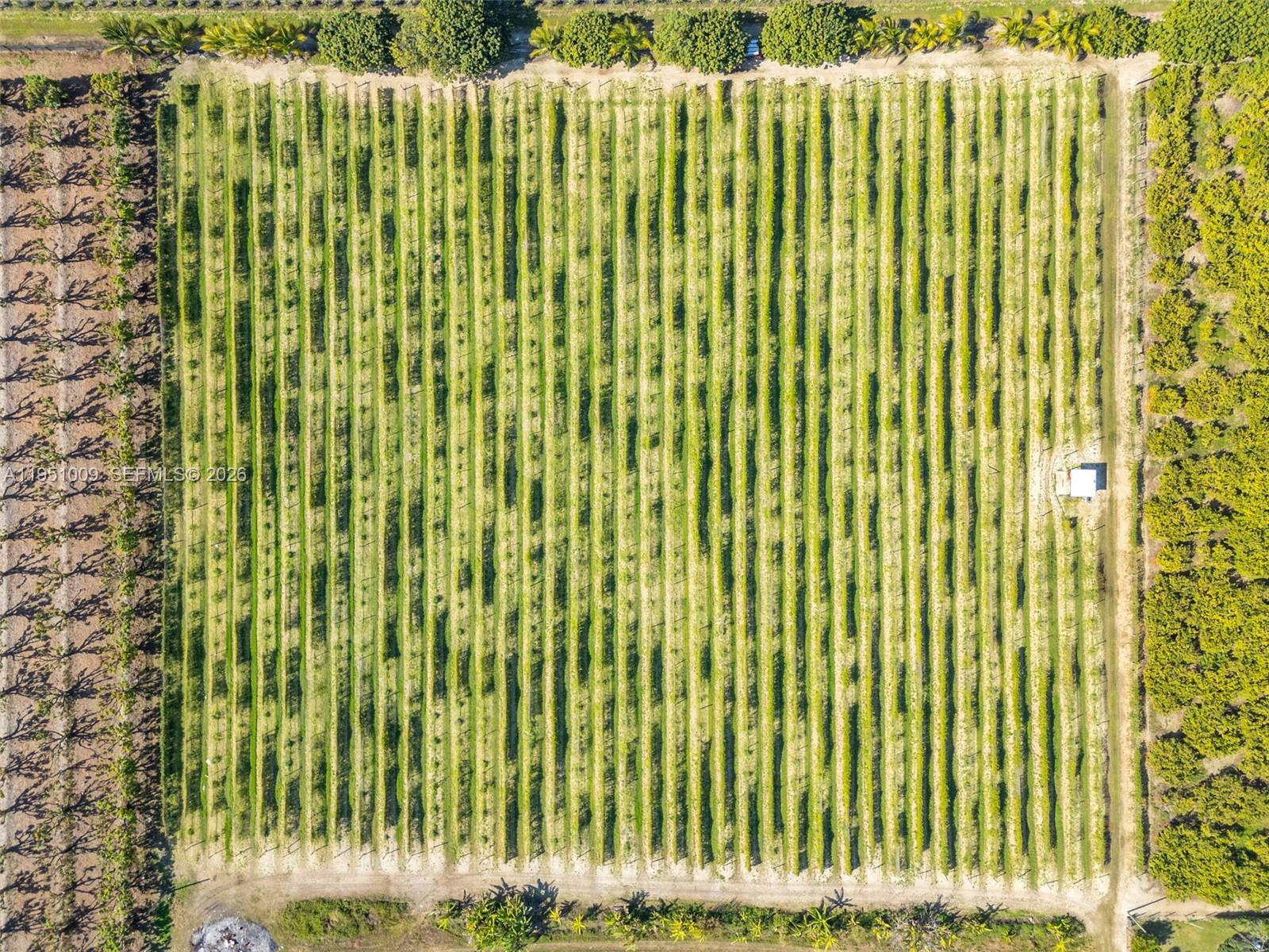 SOUTH REDLAND - Land