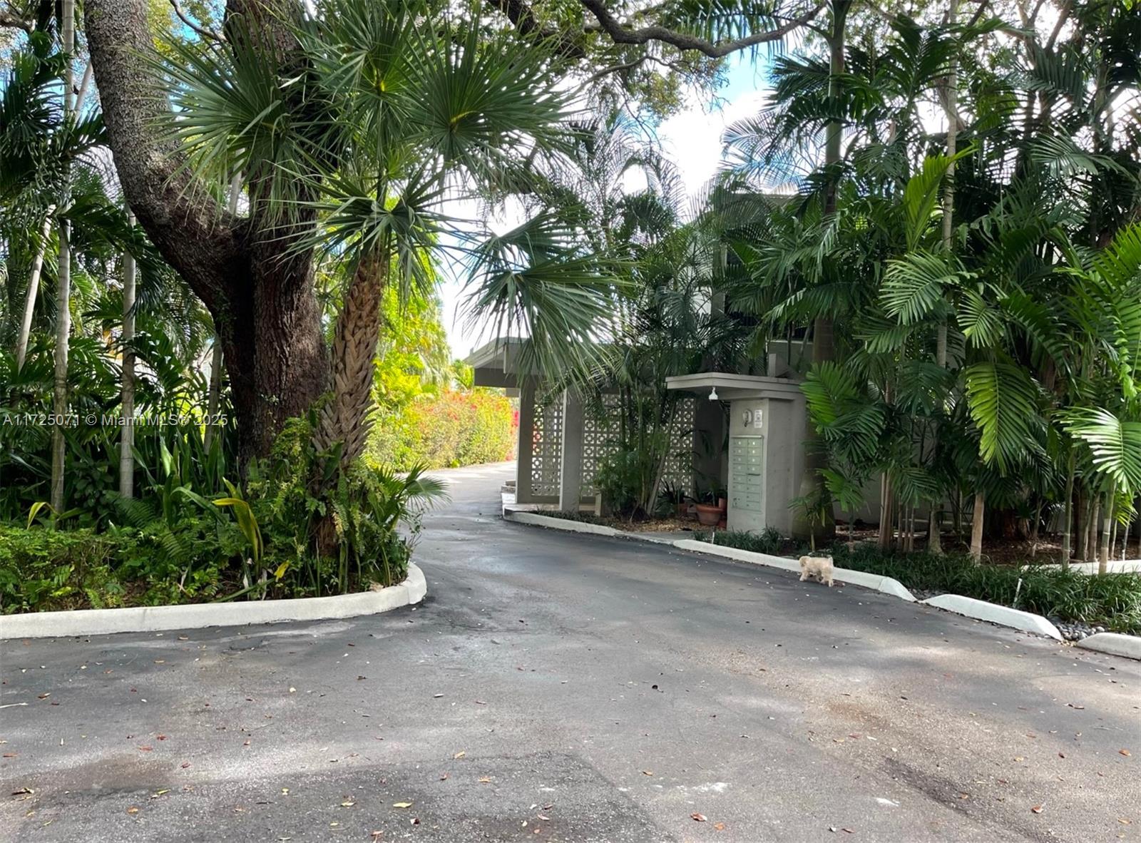 Rental Property at 6011 N Bayshore Dr 7, Miami, Broward County, Florida - Bedrooms: 2 
Bathrooms: 3  - $3,900 MO.