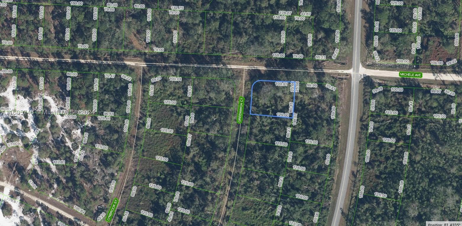 OWNER WILL FINANCE NO CREDIT CHECK NO CREDIT NEEDED. $1,000 DOWN $367.44 PER MONTH FOR 36 MONTHS AT 7% INTEREST. Huge corner lot 125 X 97. Enjoy everything that Leisure Lakes has to offer. Leisure Lakes is just minutes from charming downtown of Lake Placid, Highlands County is a fisherman’s paradise with over 100 nearby lakes and creeks. Golfer’s will find 2 courses in Lake Placid, and another 13 courses within 20 miles of town. Lake Placid is also home to many parks, and is just a short distance from the enormous Highlands Hammock State Park which is home to more rare species than another other state park in Florida.