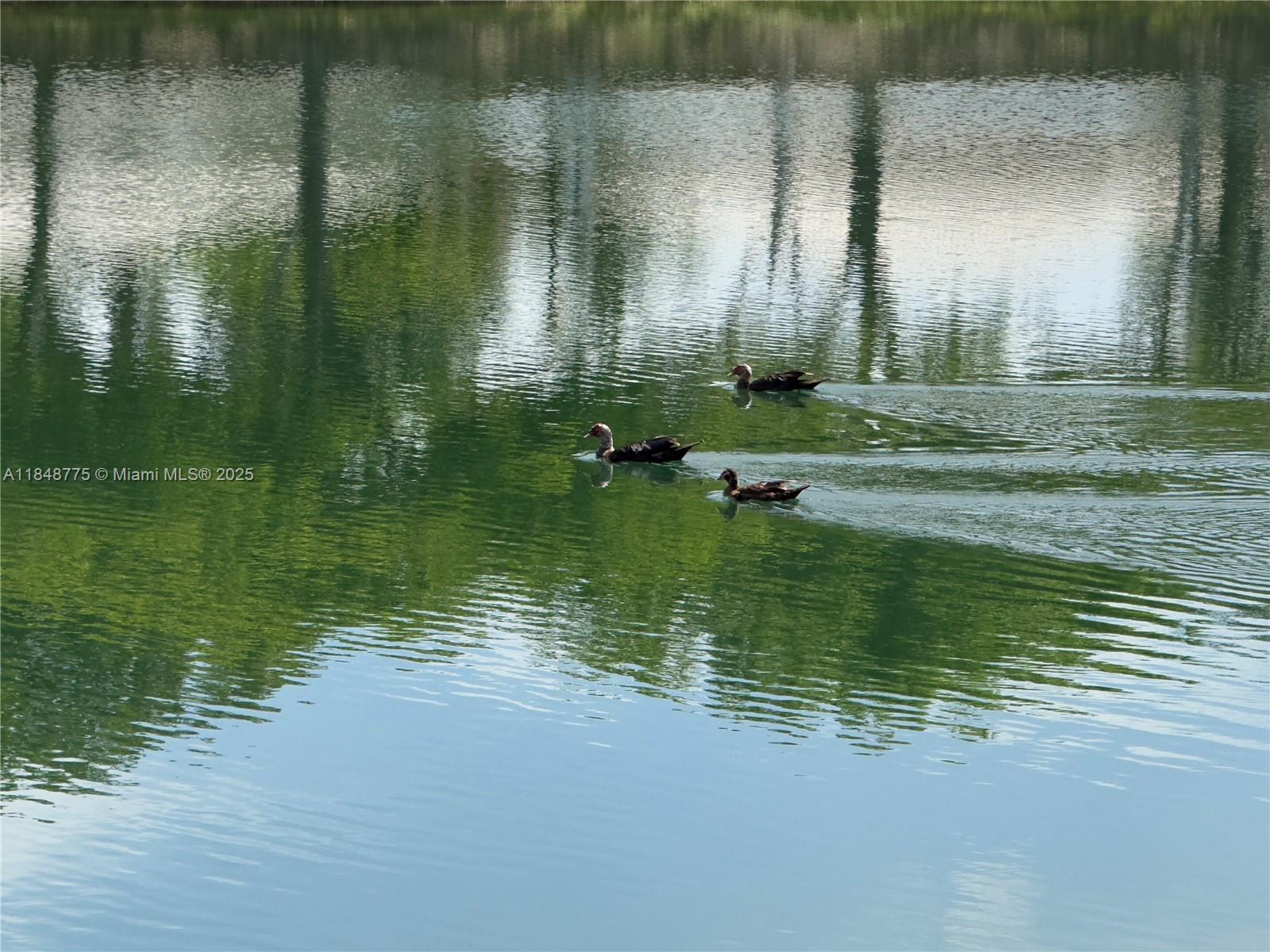 KEYS-GATE NO 1 - Residential