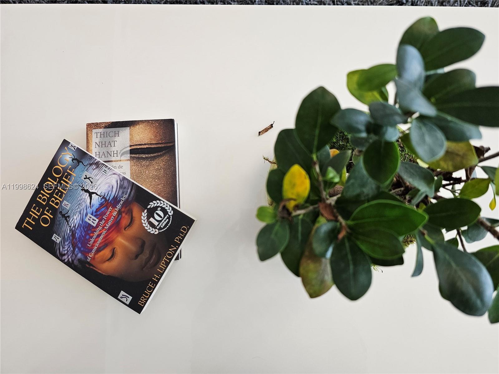 BRICKELL FLATIRON CONDO - Residential Lease