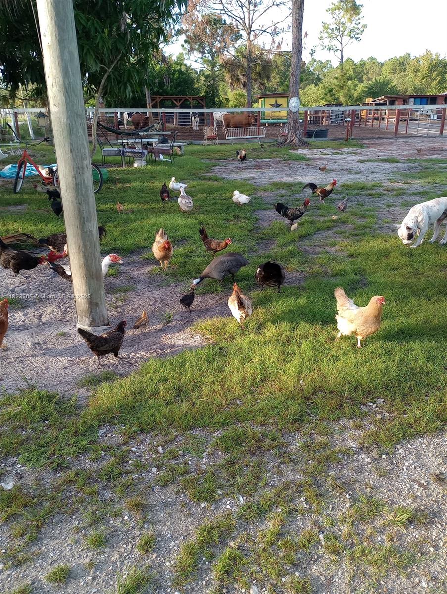 Montura ranches - Residential