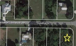 29387 Goodhue