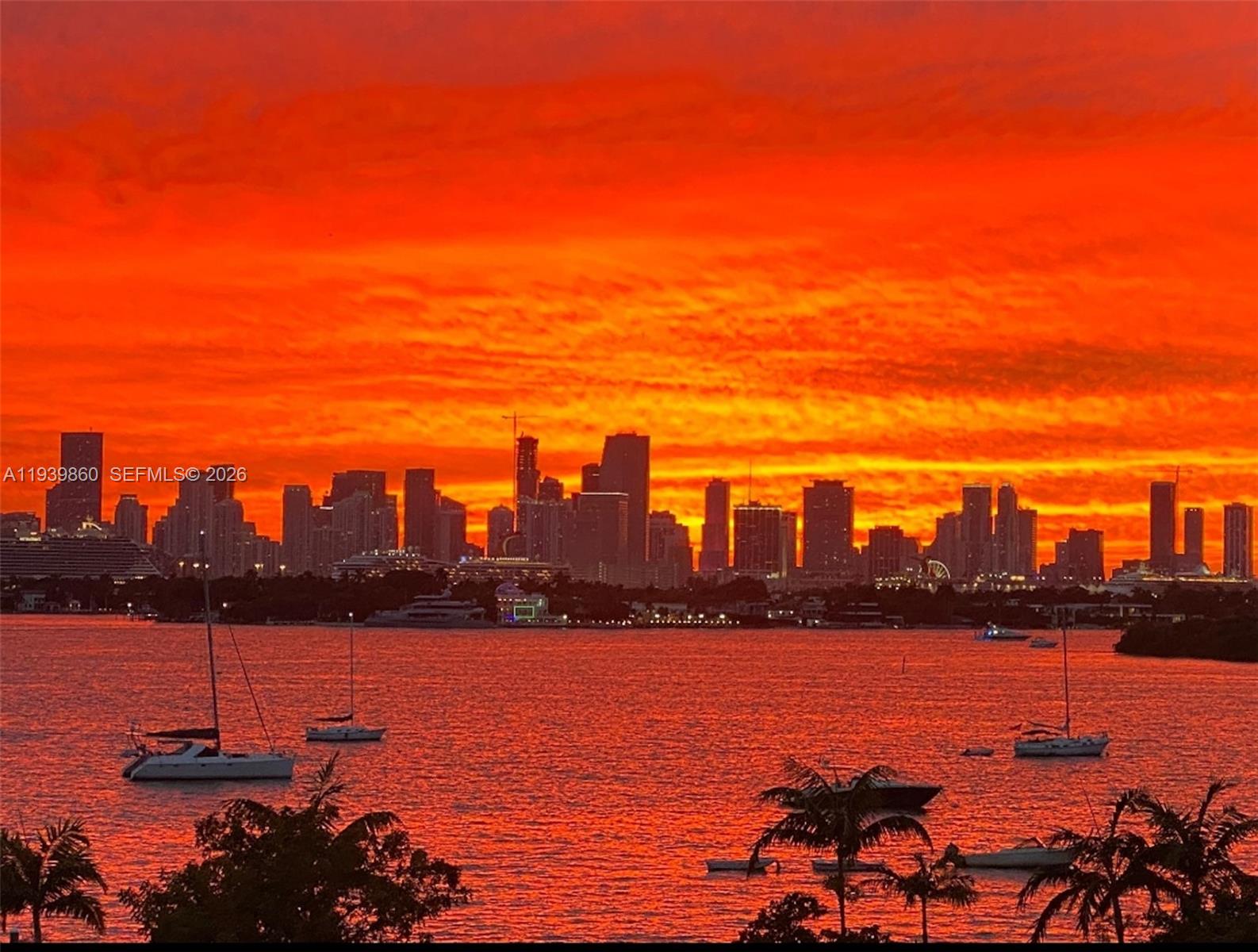 FLAMINGO SOUTH BEACH I CO - Residential