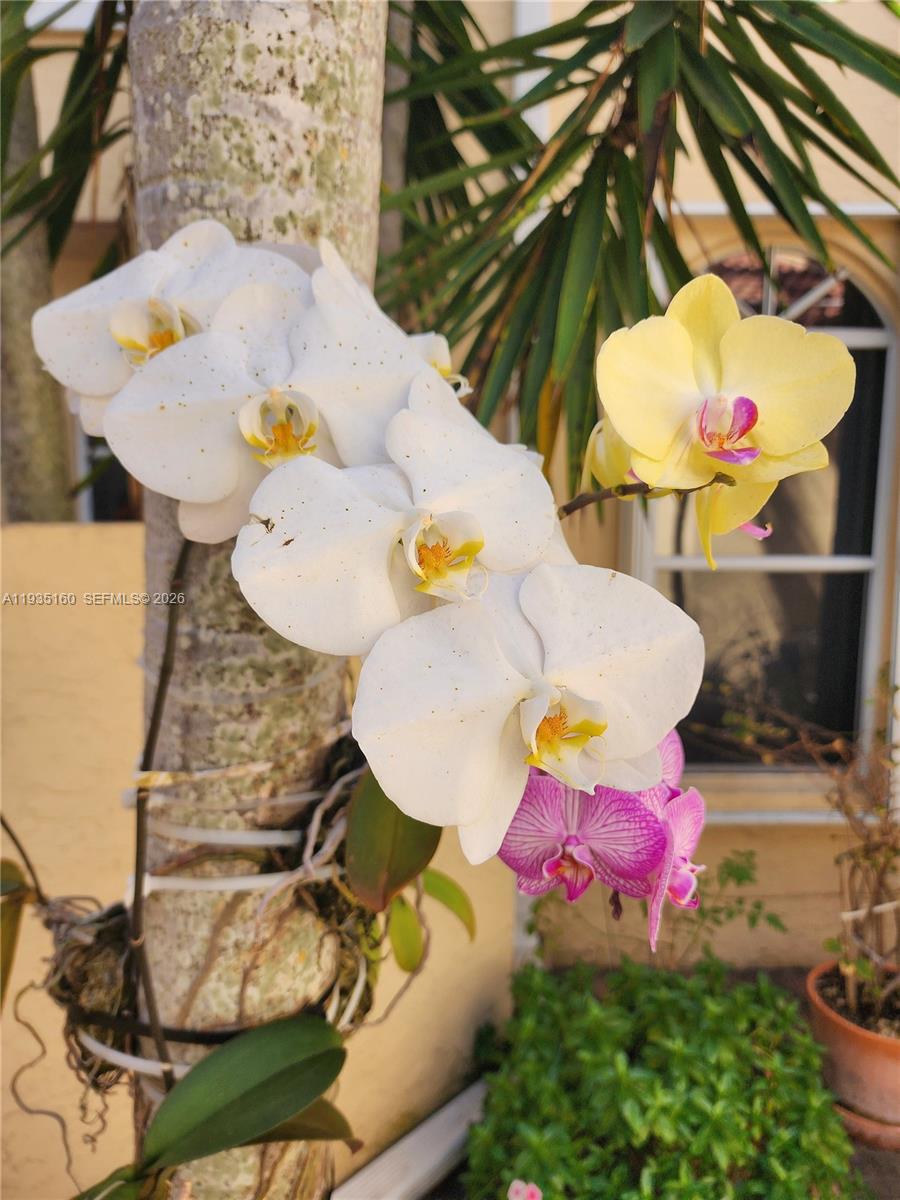 SPINNAKER BAY - Residential Lease