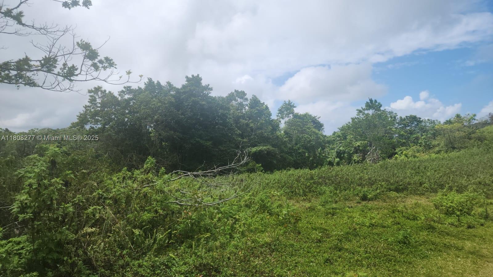 Exceptional 250-acre development opportunity in St. Ann, Jamaica—bordering the iconic Dunn’s River Falls at its peak. With 90% level terrain and ocean/mountain views, this centrally located property is ideal for residential, commercial, or mixed-use projects. Subdividable with multiple titles and four access points, it offers flexible investment options. The land includes a historic great house once home to former PM Michael Manley. St. Ann, known as the "Garden Parish," is a thriving tourism hub. With a high demand for affordable housing, this is a rare chance to shape the future of a growing community.