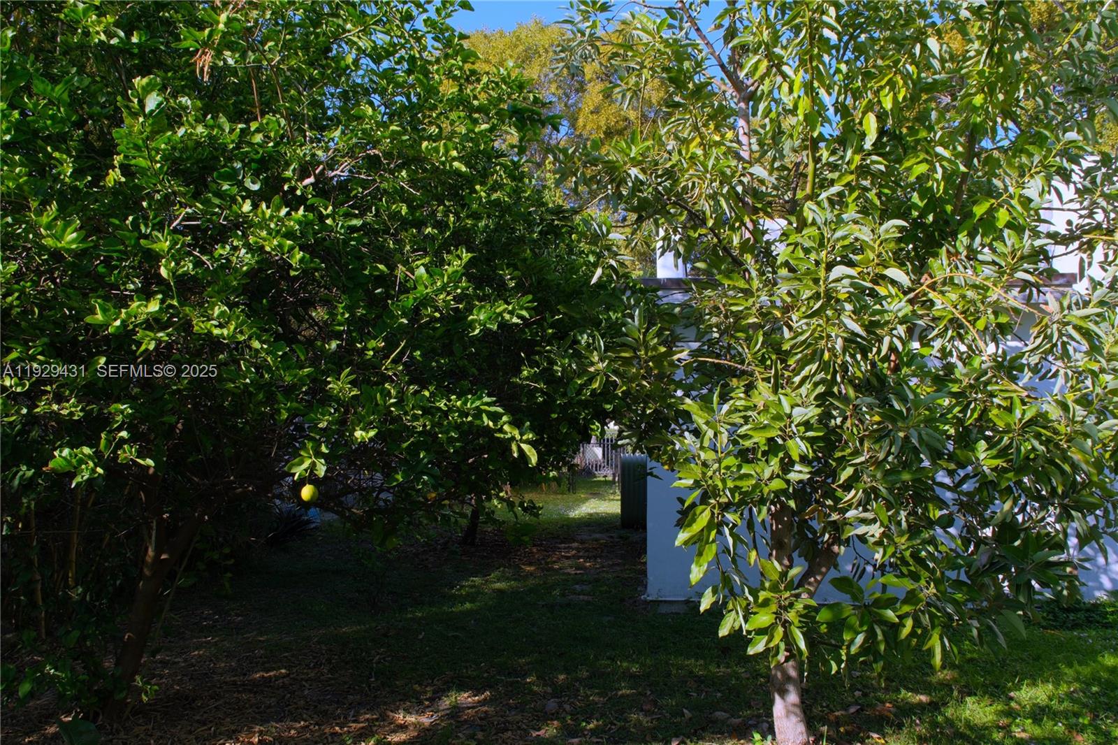 PARKDALE - Residential