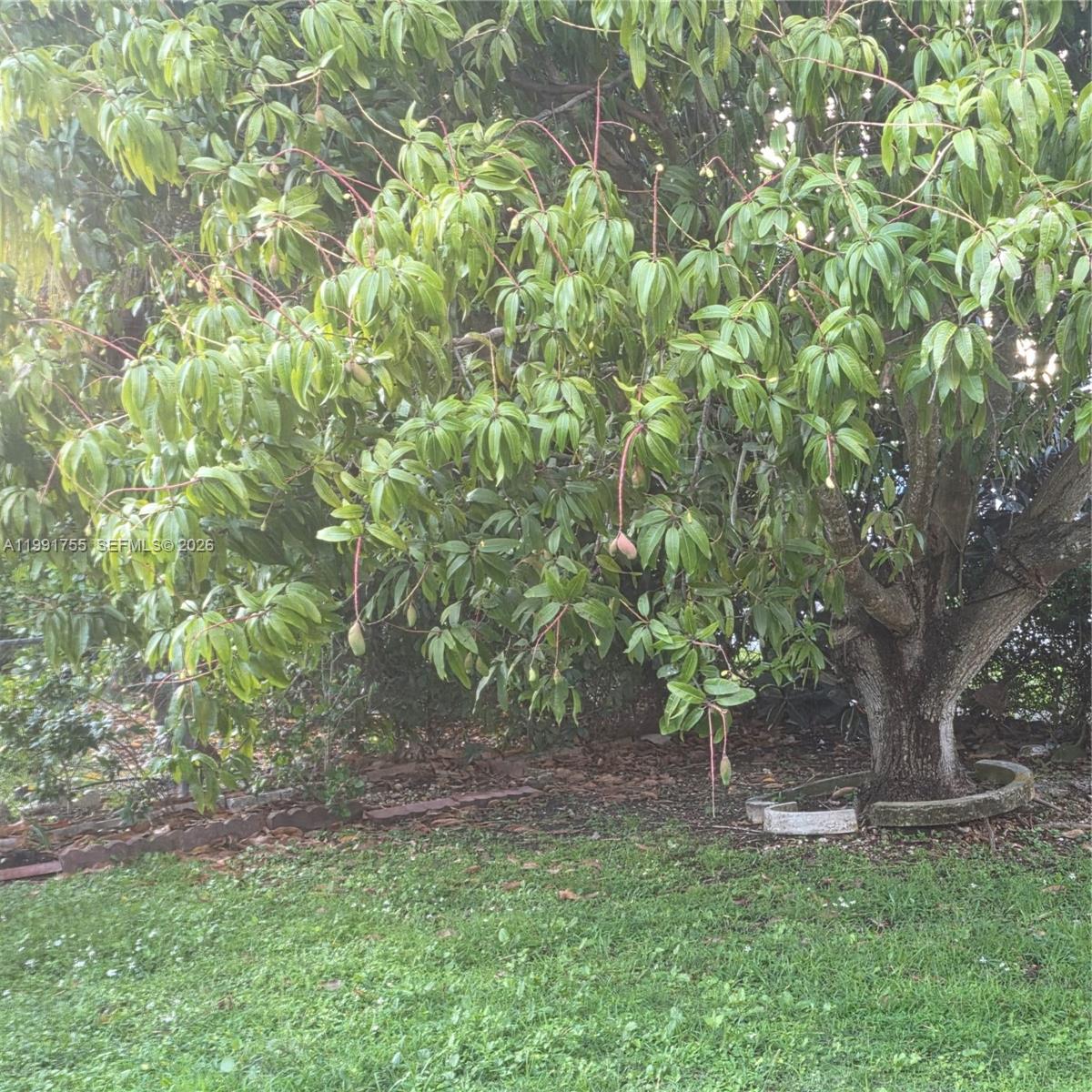 SUNSET WEST SEC1 - Residential