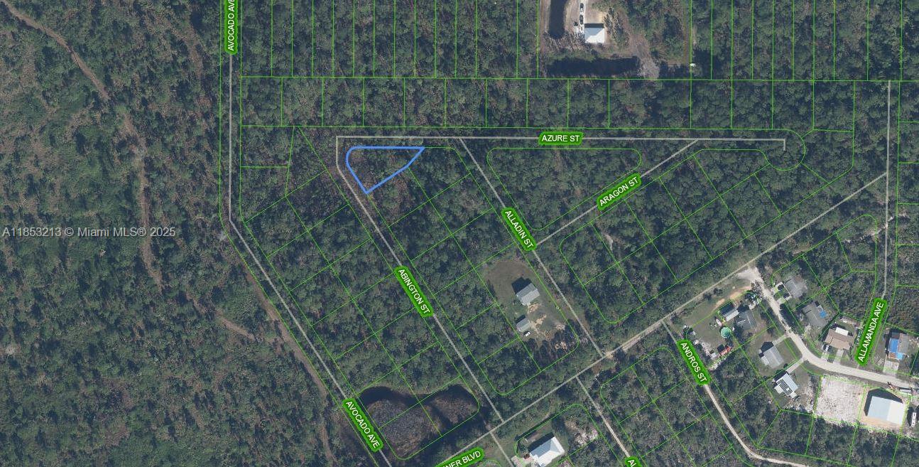 MULTI FAMILY LOT!!! OWNER WILL FINANCE!!! $1,000 DOWN $429.19 A MONTH AT 7% INTEREST FOR 36 MONTHS. If you want to build your dream home among nature rather that neighbors this is the spot for you. Only a 7 minute drive from town! Lake Jackson a 3,212 acres lake renown for bass fishing is nearby ..the Veterans Beach park and boat ramp is just down the road. Along with the YMCA and Sebring's Raceway.
