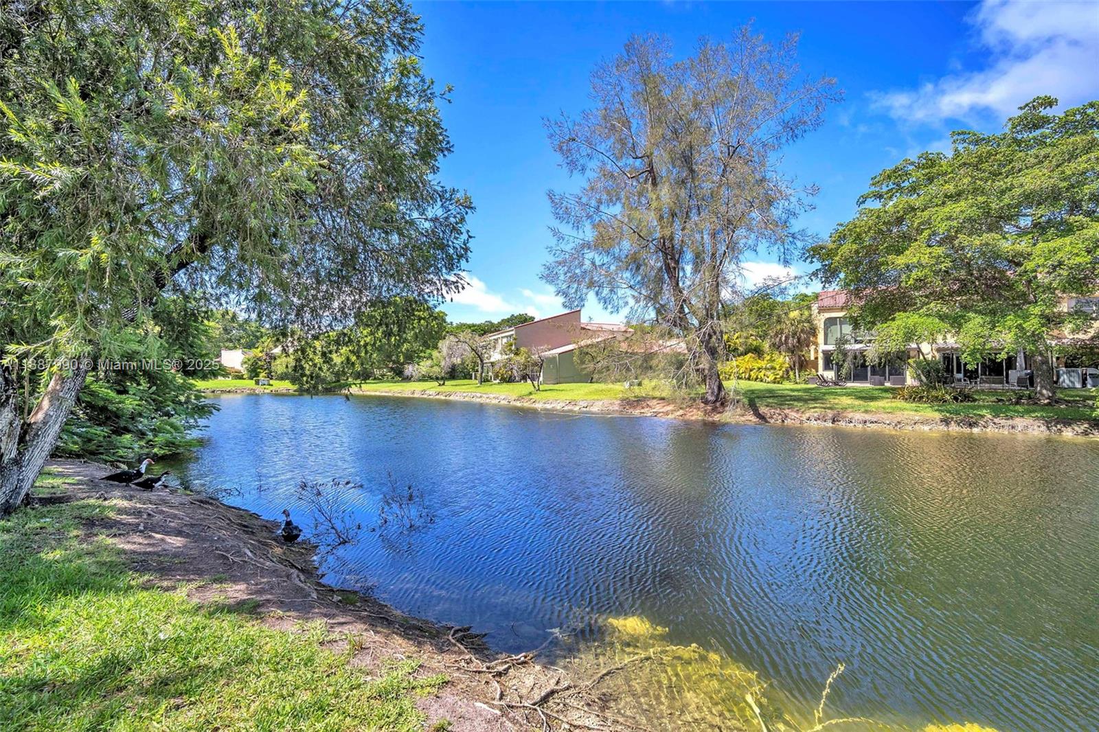 COSTA DEL SOL CONDO NO 2 - Residential