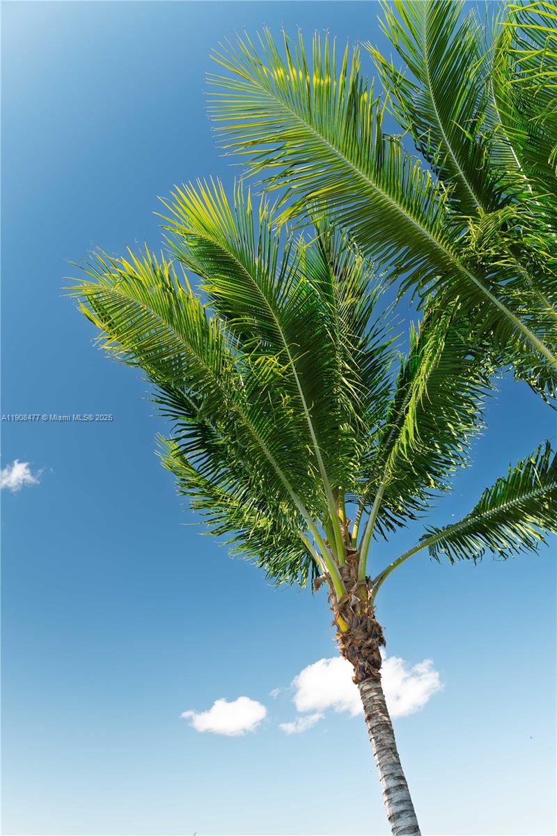 POMPANO BEACH PARK - Residential Lease