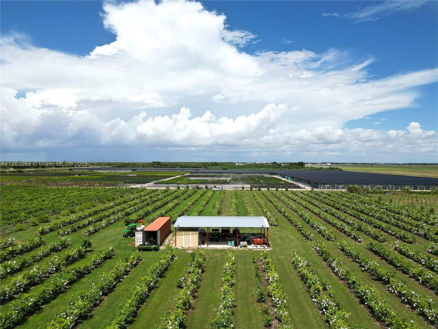 Great Opportunity to own a piece of paradise in homestead , walking distance to Schneblys winery and on a private dead end street. 5 Acre fruit grove consisting of Chinese guava, Guanabana (soursop), Tamarind, Sugar apple, and Mango. Fully fenced in, with irrigation system, pump, and diesel tank. Property has a 50 X 30 Packing house with concrete floor, and a 40ft shipping container that can be used for storage or any other desired use. This is a buildable lot zoned agricultural that per zoning allows 1 single family house. Located off 217th Ave on 304th street on dirt road. Electricity on property.