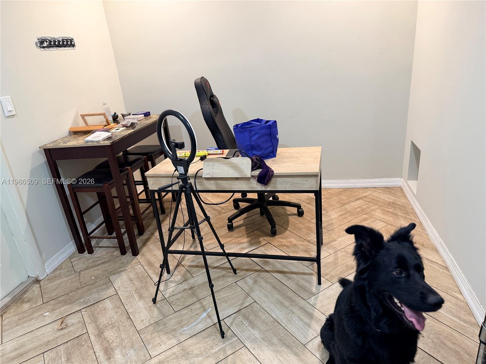 HOLLYWOOD HILLS - Residential