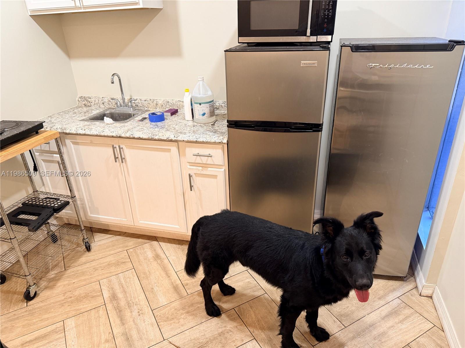 HOLLYWOOD HILLS - Residential