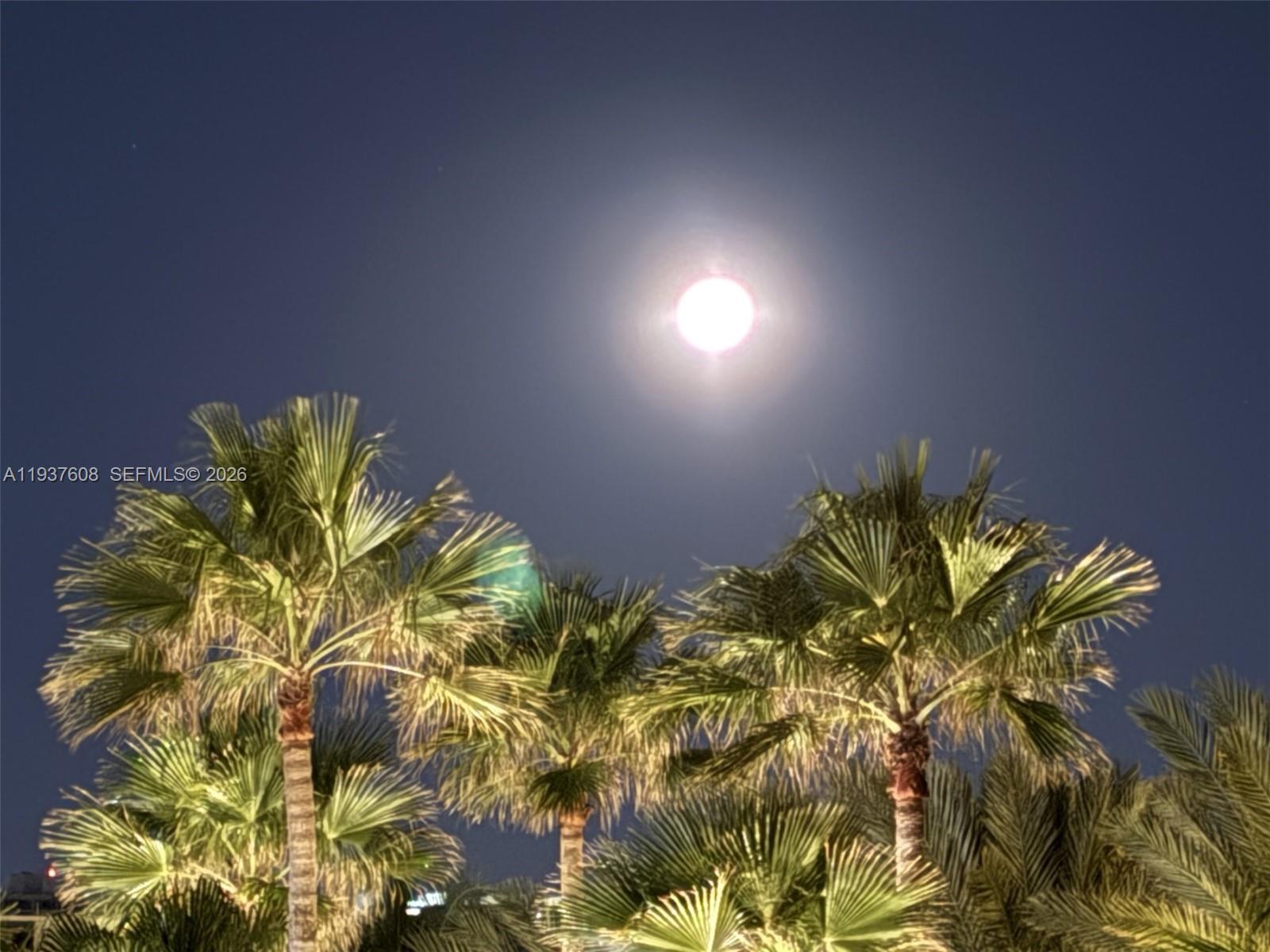 THE PINNACLE CONDO - Residential