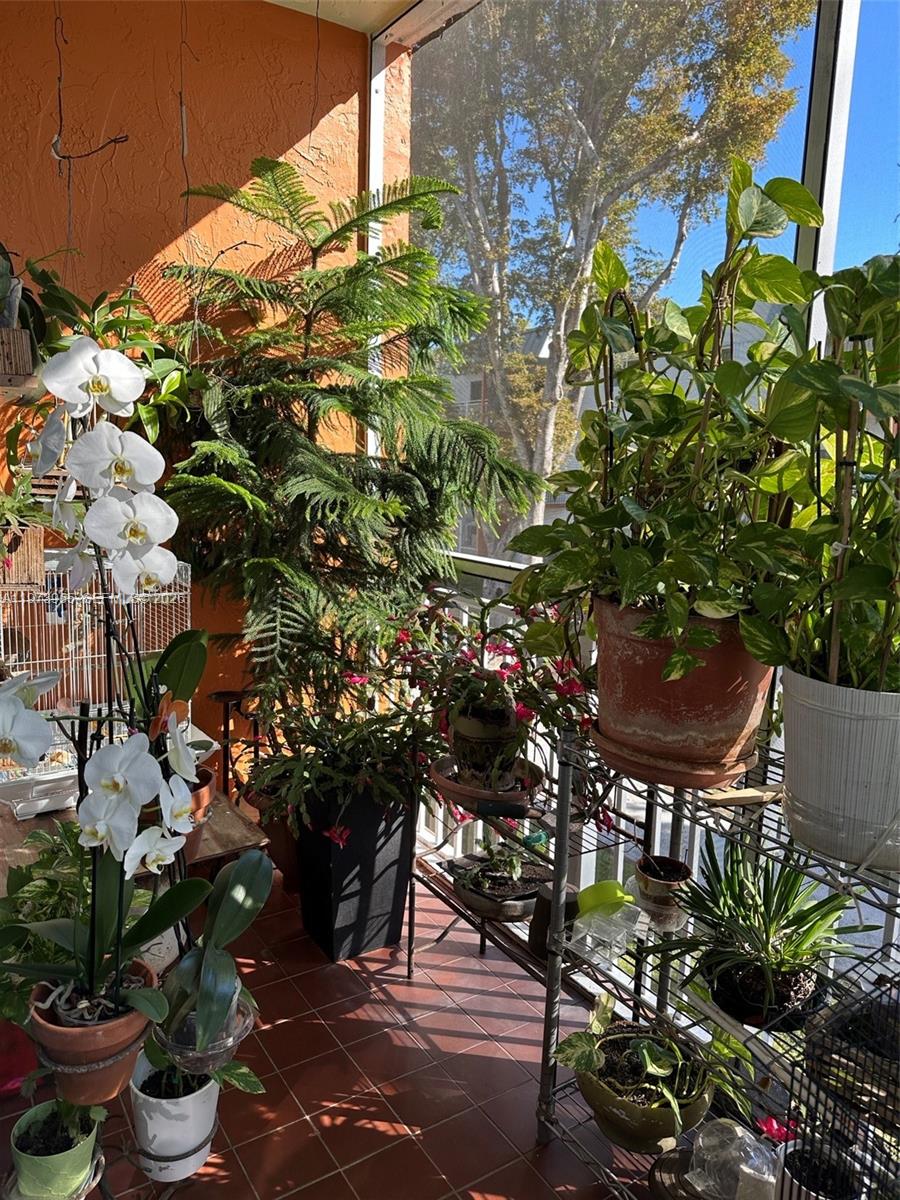 CARIBBEAN GARDENS CONDO - Residential