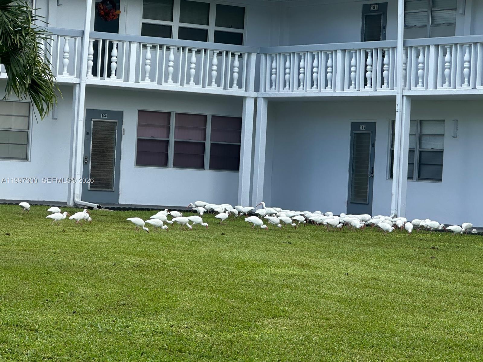 WESTBURY J CONDO - Residential