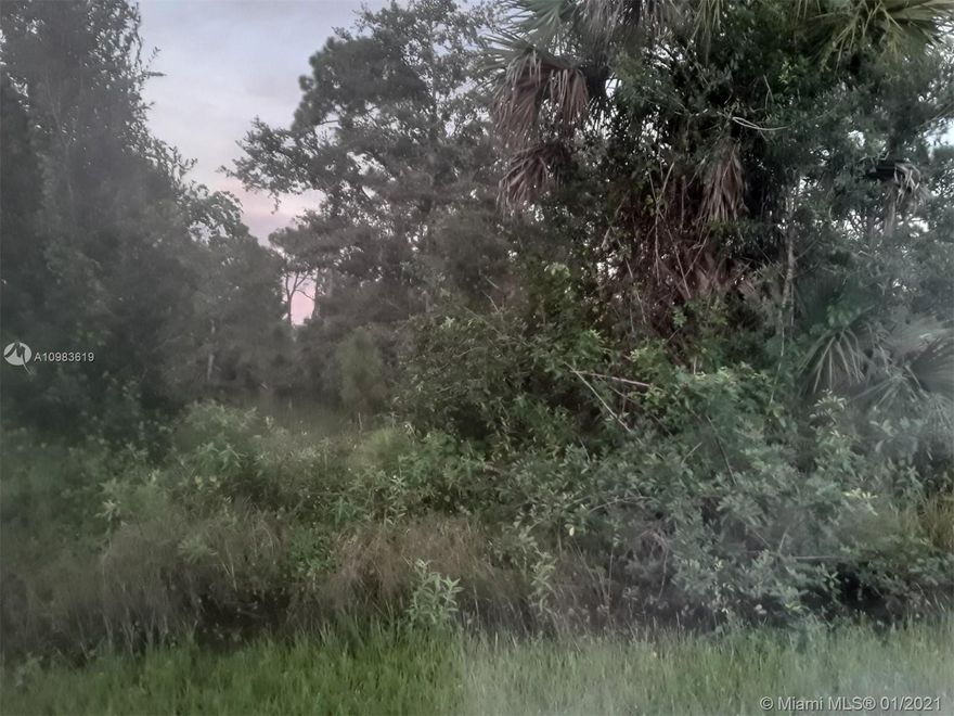 VERY NICE PROPERTY OF 1.25 ACRES OF LAND IN MONTURA RANCH ESTATES, HENDRY COUNTY FLORIDA. NO IMPACT FEE. YOU CAN BUILD YOUR HOME OR BRING ONE MOBILE HOME. CATS,DOGS,HORSES,CHICKENS ARE WELCOME.