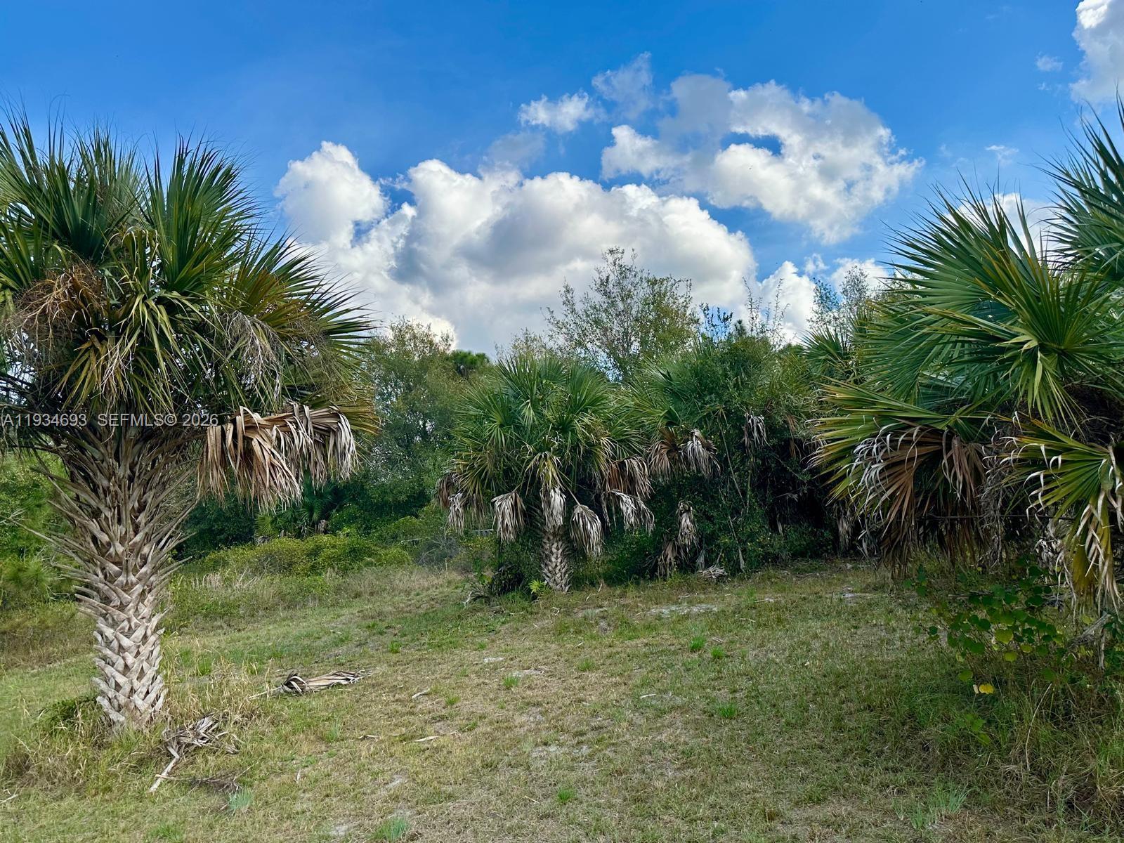 Montura Ranches - Land