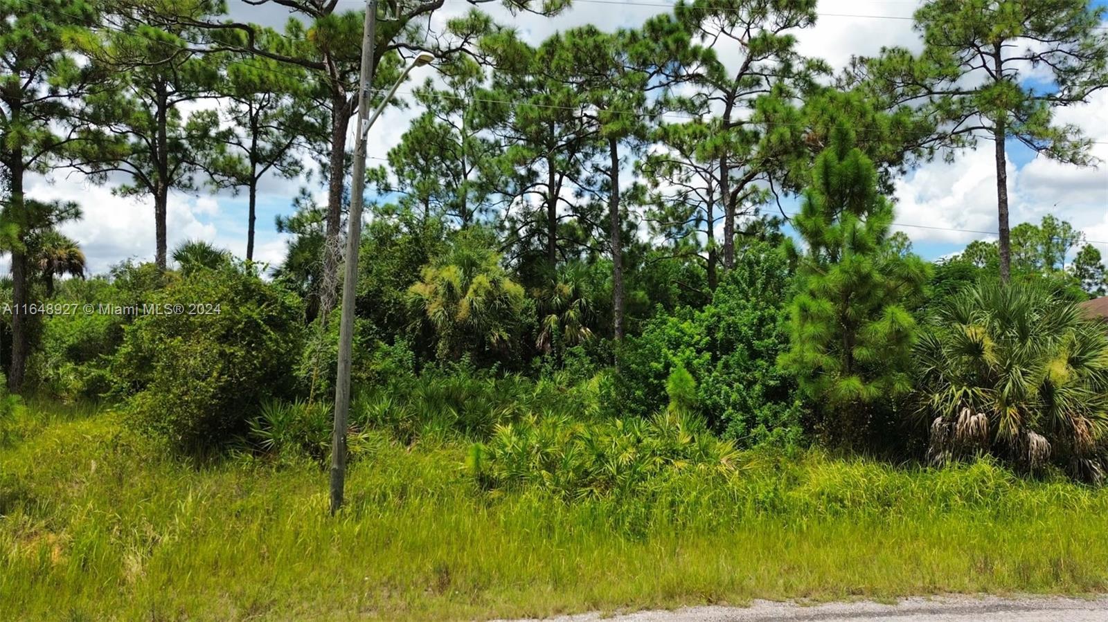 Adjacent lot is also available. 1811 Laurie St. Almost a full acre combined
