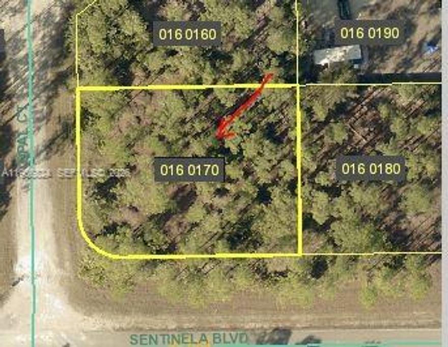 Build your dream home on this 0.30-acre residential lot. The land offers ample space for a custom-built or modular home and is situated in a growing area with newer homes nearby. According to available county information, no protected species or environmental restrictions are currently reported.  offering privacy and room to design your ideal outdoor living space.