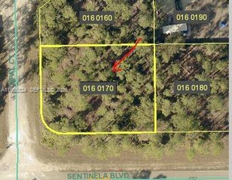 107 OPAL CT Lehigh Acres FL 33974