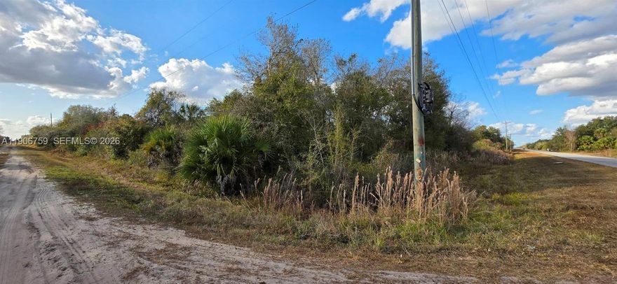 1.25-acre lot for sale located in Flood Zone A. Buyers are advised to contact the Department of Environmental Protection directly for guidance on potential wetland mitigation, building eligibility, or requirements for placing a home or manufactured home. Buyer to perform all due diligence. Property sold as-is. The adjacent 1.25-acre corner lot directly behind it is also available for sale—great opportunity to own both corner parcels!