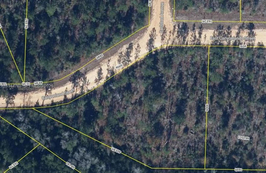 Large lot of 2.82 acres in Compass Lake Hills. 466 feet of street frontage and only neighbor owned lot on east side. The lot location is on the intersection of Canyonland Street, East Canyonlands Street and Carlsbad Avenue.
This serene lot and area has endless recreation activity to enjoy on your property and surrounding area.