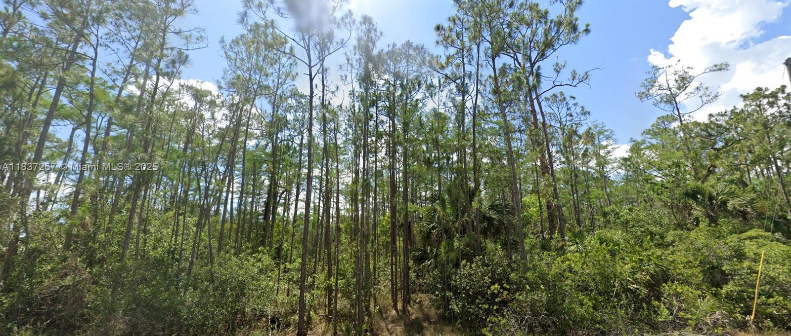 Build Your Dream Home in Lehigh Acres! This spacious vacant quarter acre lot is ready for you to build your custom single-family home in the growing community of Lehigh Acres! Enjoy peaceful surroundings, affordable living, and easy access to Fort Myers while being close to shopping, dining, parks, and top-rated schools. With plenty of new development in the area, this is the perfect opportunity to invest in Florida living! SELLER FINANCING AVAILABLE!!
The buyer’s agent or broker is required to be present at all showings, meetings, inspections, and appointments. Unaccompanied buyers will not be permitted access to the property.