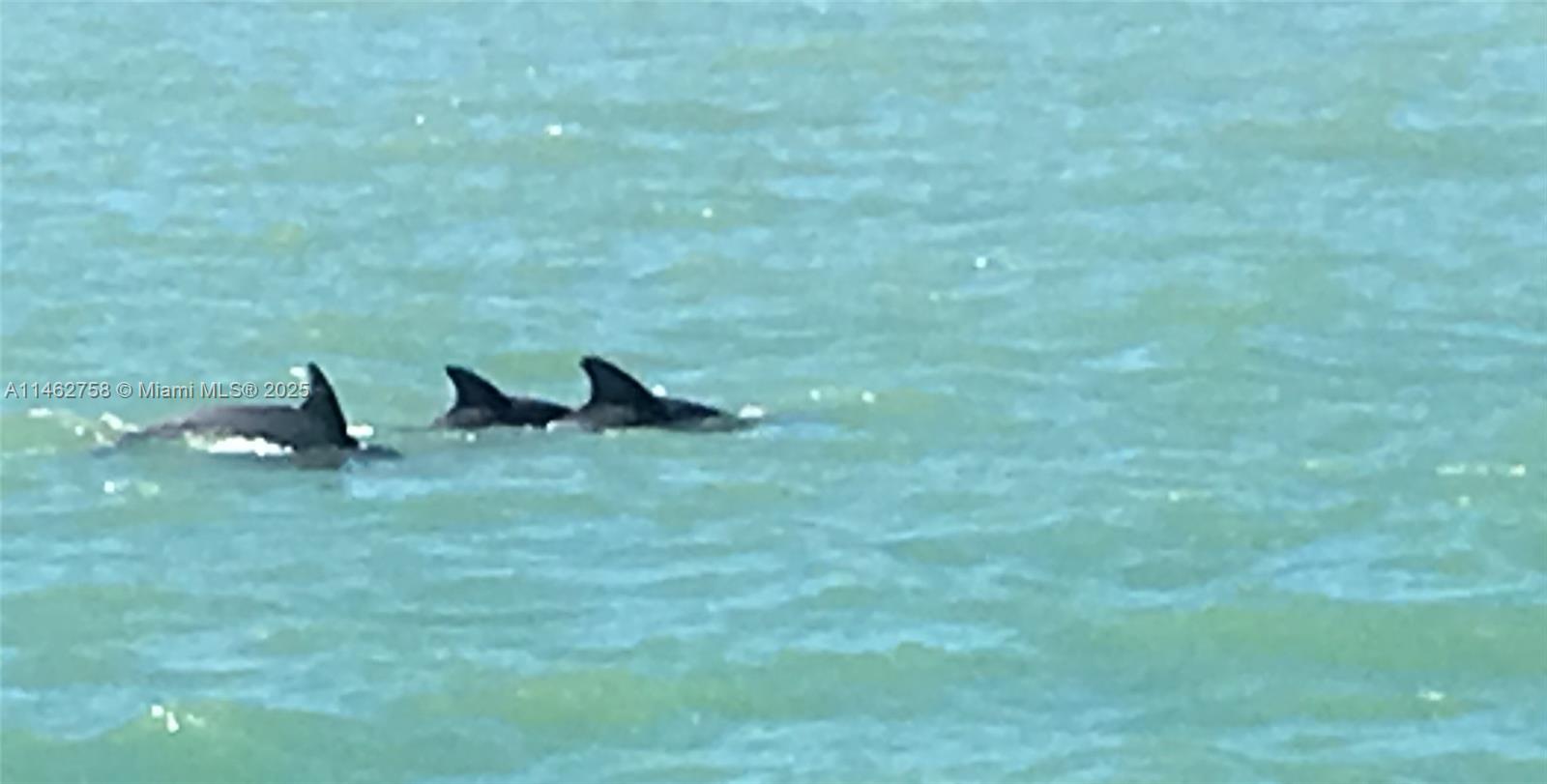 THE VISTAS CONDO - Residential