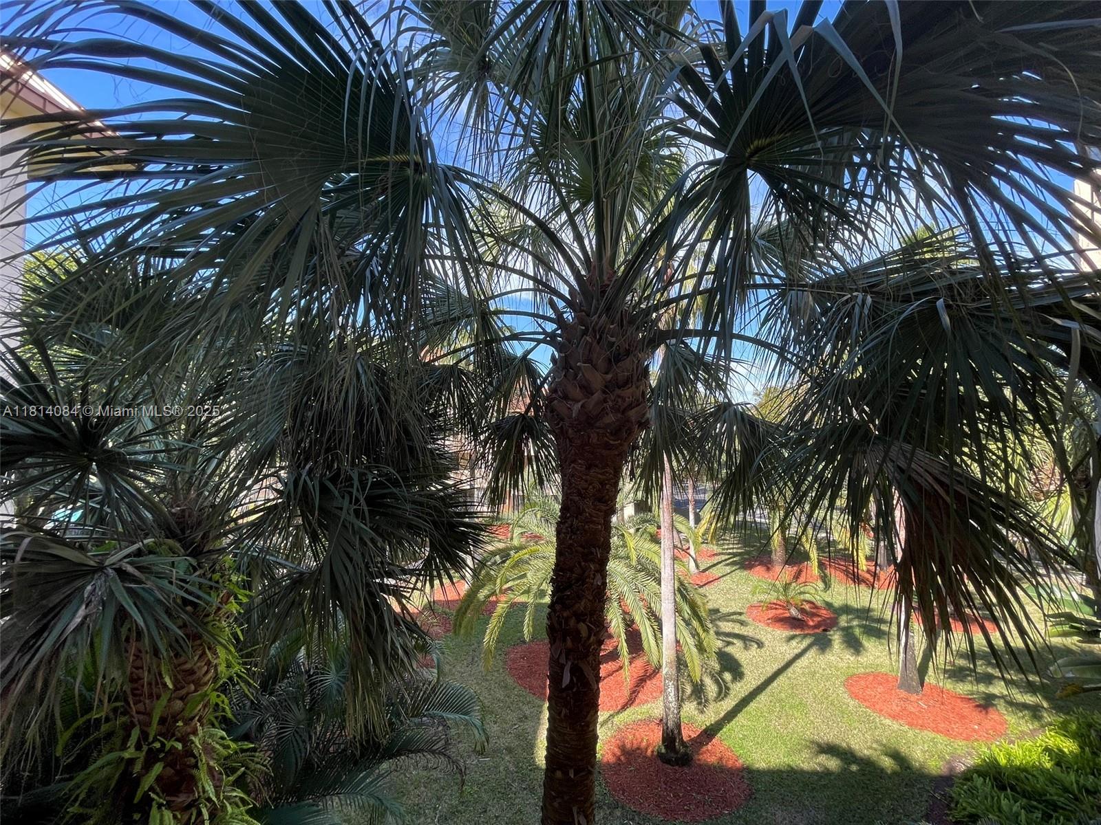 PLANTATION FOREST CONDO - Residential