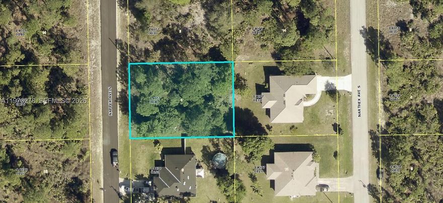 Imagine the possibilities: A dream home, a visionary project, an investment for tomorrow. Whatever your aspirations, this affordable land provides the foundation. Seize the chance to be a part of a dynamic community and build a future that matches your vision! With easy access to State Road 82 and nearby cities. Your dream project starts here, the door to potential awaits—unlock it today.