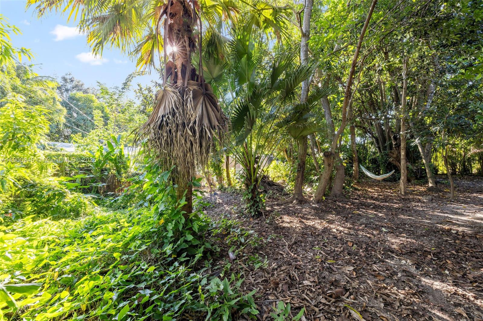 SOUTHWOOD REV - Residential