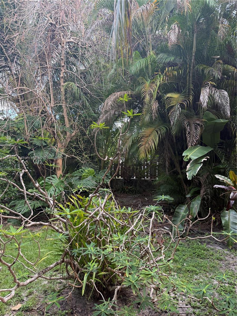 SHENANDOAH - Residential