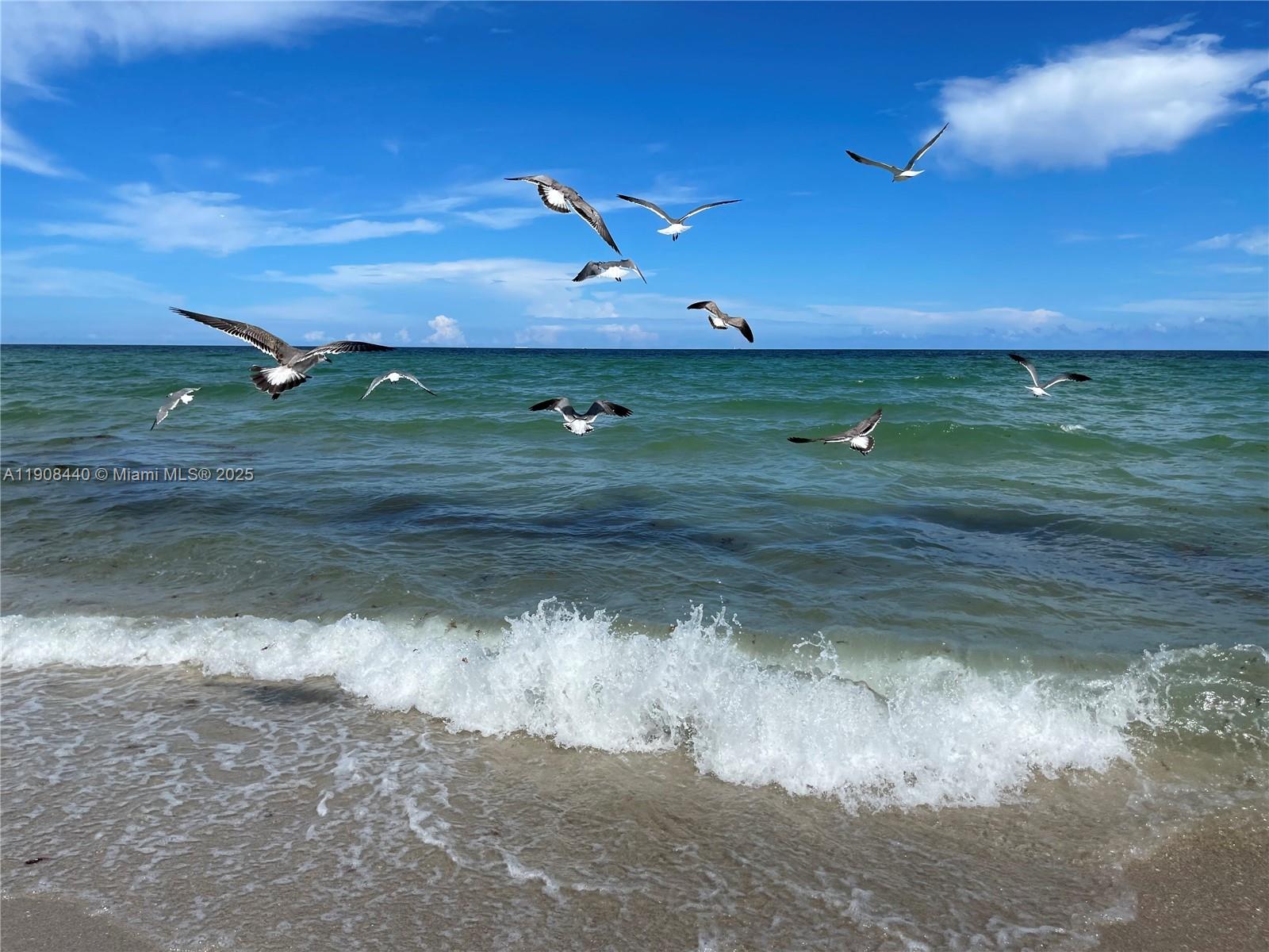 SHERBROOKE - Residential