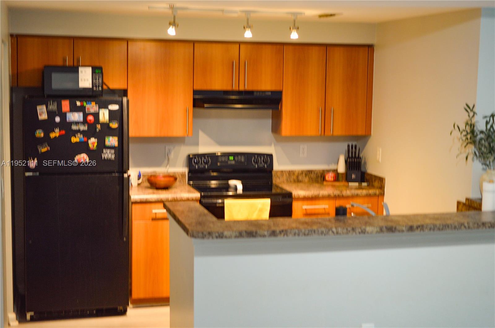 EL-AD POINCIANA CONDO - Residential