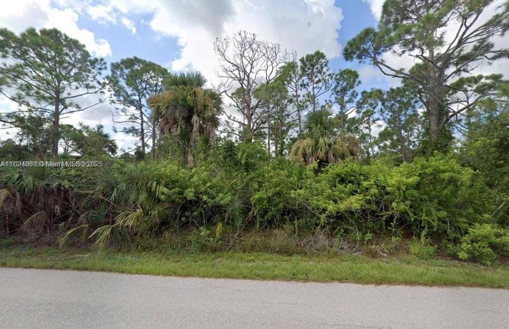 PUNTA GORDA - Land
