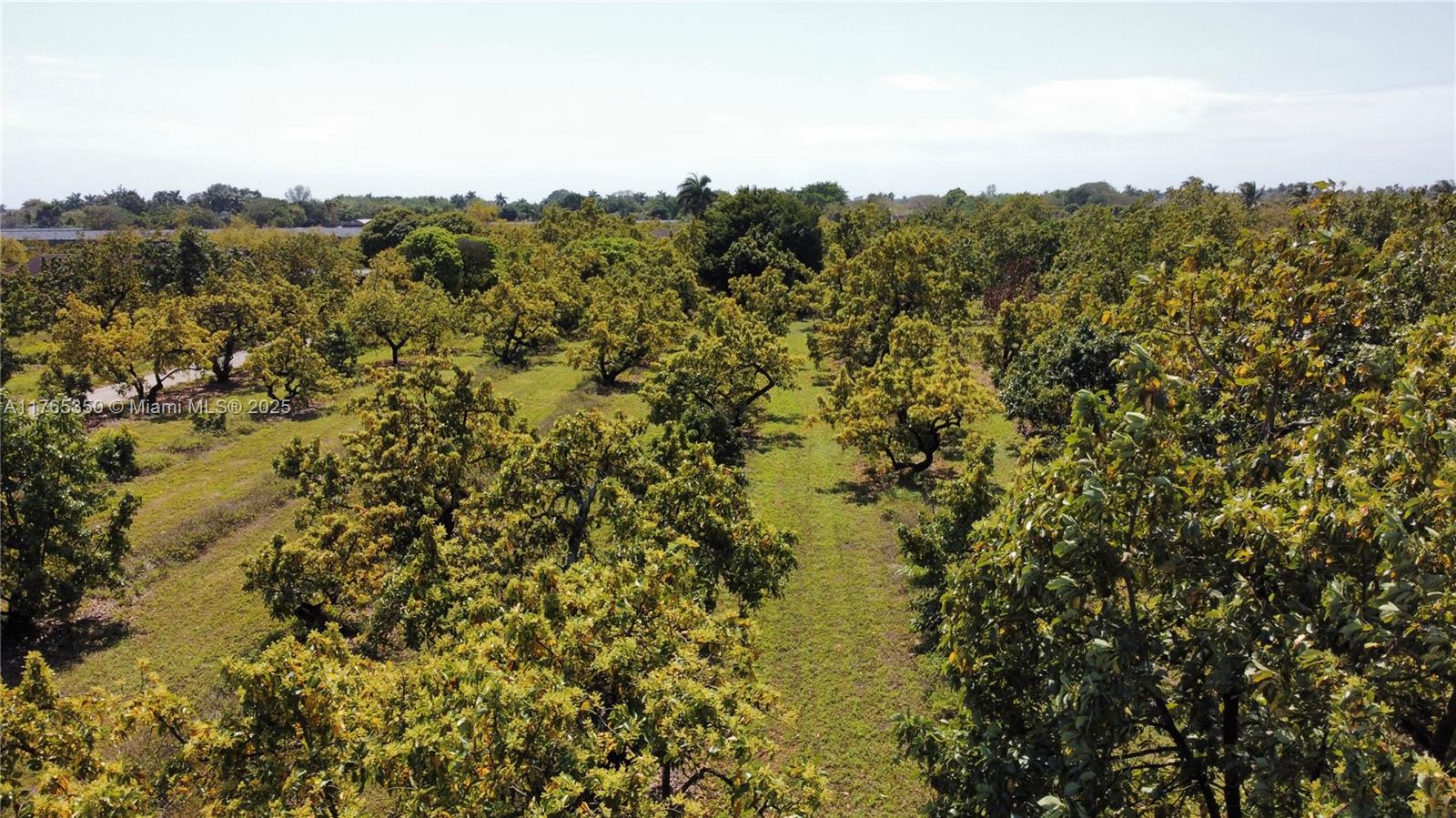 Redland - Residential