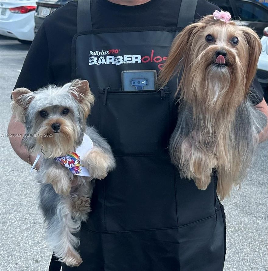 Fantastic Opportunity with Enormous Potential to Grow! Turnkey pet grooming. Located in a desirable neighborhood in Miami, this business has served the community for over 18 years, providing walk-in and appointment-based services. Specializing in a range of care services for pets, including daycare and hotel services, as well as a full-service grooming salon and access to full-service wellness. A clean, spacious facility with a loyal base of customers, producing solid revenues over the last several years and serving over 15-20 clients daily. The current owner is ready and willing to train and stay on for 1-2 months at a salary to help the new owners get to know clients. Lots of traffic. Business only for sale. It may qualify for an immigration visa (please check with your attorney). Call me anytime today!