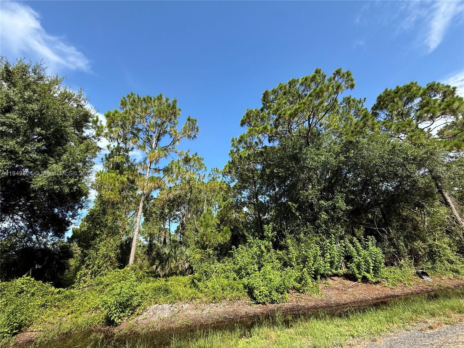 1.09 ACRES AT THE NORTH OF MONTURA RANCH ESTATES, HORSE CLUB & SENDERO ST ST! HIGH AND DRY LOT COMPLETELY RAW SO YOU CAN DECIDE THE TREES YOU LIKE!! PRICE TO SELL FAST!! BEST OPTION IN THE MARKET! NO WETLAND! GREAT INVESTMENT OPPORTUNITY! YOU CAN BUILD YOUR DREAM HOUSE OR INSTALL YOUR MOBILE HOME ENDLESS POSSIBILITIES!!! YOU CAN HAVE YOUR WEEKEND GETAWAY FROM THE CITY, JUST 65 MILES FROM WESTON, 90 MILES FROM MIAMI, YOU CAN HAVE YOUR FARM ANIMALS AND ENJOY THE CAMP STYLE OF MONTURA RANCH ESTATE YOU CAN GO DIRECTLY TO THE PROPERTY AND CALL ME OR TEXT ME IF YOU NEED ANY EXTRA INFORMATION
