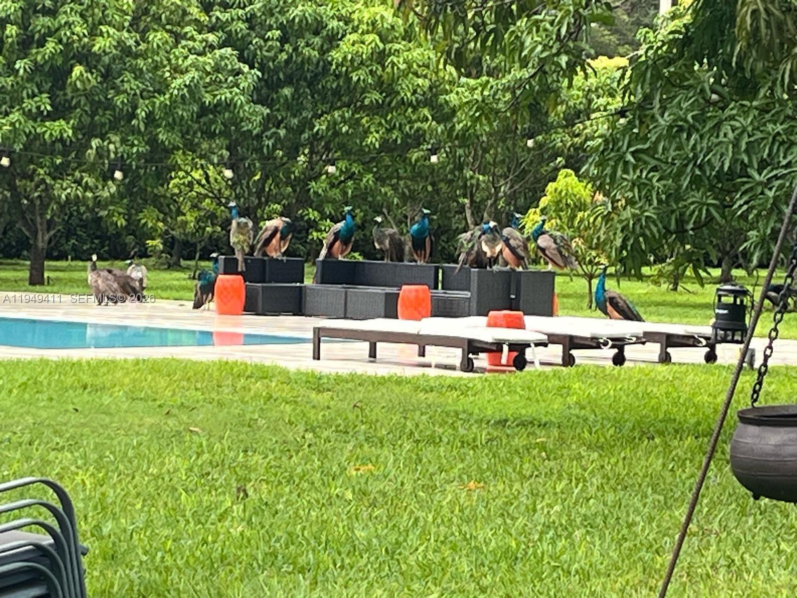 Redland Estate - Residential