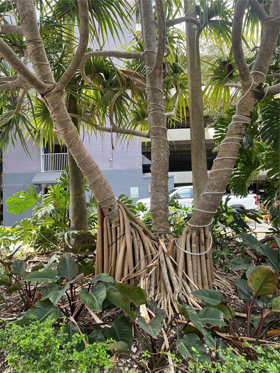 Madison Condo - Residential