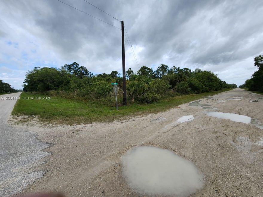 Discover the perfect location for your dream custom home in a serene rural setting on a spacious 1.25-acre corner lot. This prime lot offers easy access off a main road, combining convenience with tranquility for your ideal lifestyle.