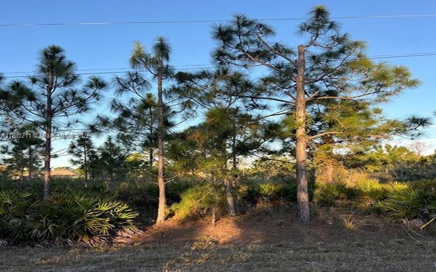 Build Your Dream Home on This Spacious Corner Lot in Lehigh Acres!
A beautiful residential lot tucked away on a quiet cul-de-sac in a growing area of Lehigh Acres, FL. It offers the perfect blend of peace and convenience, surrounded by nature and new construction homes, yet just a short drive to shopping, dining, schools, and major roads.
Plenty of space to design your ideal Florida retreat, this lot is ideal for building a primary residence, vacation getaway, or investment property. Enjoy the relaxed Florida lifestyle with nearby parks, golf courses, and easy access to Fort Myers and SW Florida’s gorgeous Gulf beaches.
Whether you're looking to build now or invest for the future, is an excellent opportunity to own a piece of paradise in one of SW Florida’s fastest-growing communities.