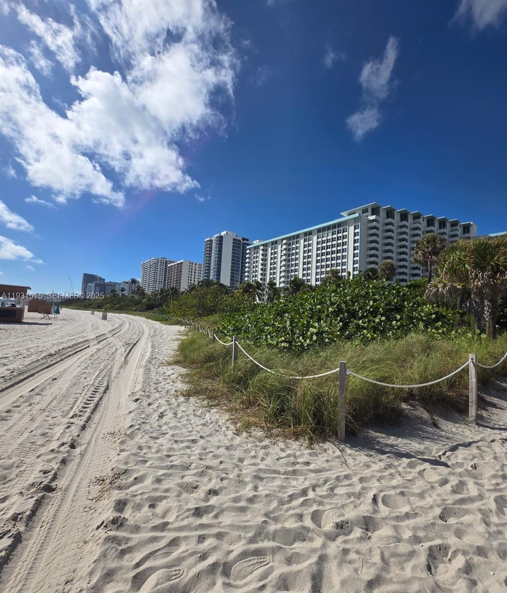 2899 Collins Ave 410