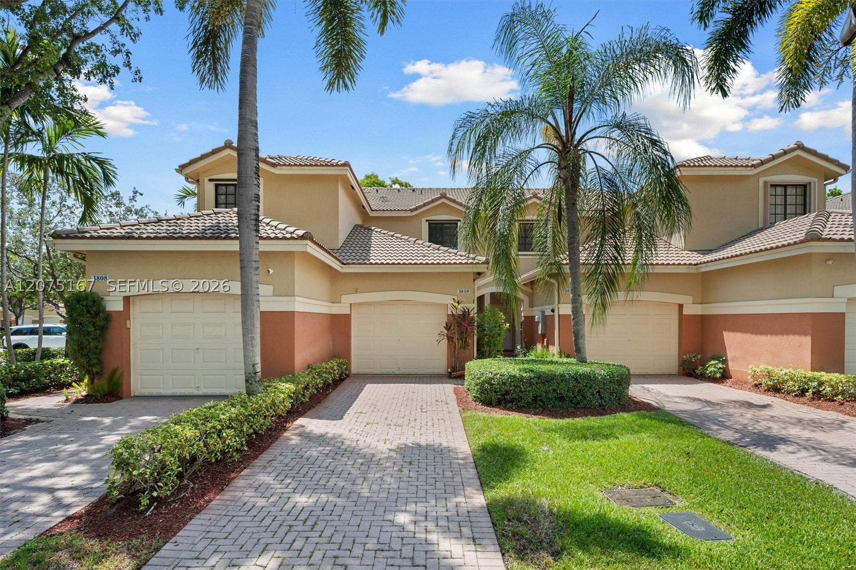 3810 Tree Top Dr