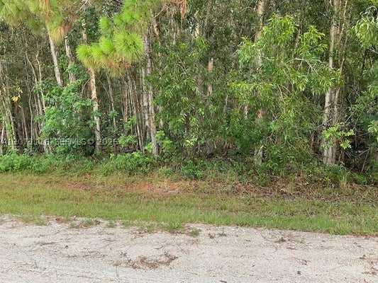 82ND ST N, WEST PALM BEACH, FL 33412 - Image c8cd6f0c9de7dc3d57a045fbf3f4fd39/2215569656